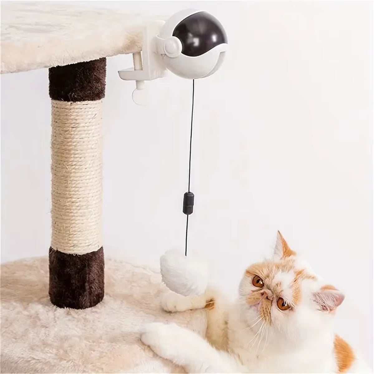 1Pc Fun Lifting Ball Electric Motion Cat Toy with Automatic Retractable Cat Teasing Ball Rotating Interactive Puzzle Pet Toys